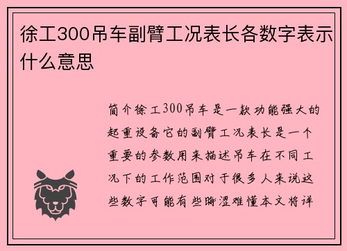 徐工300吊车副臂工况表长各数字表示什么意思