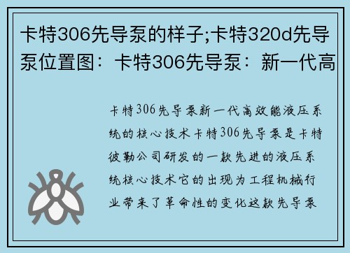 卡特306先导泵的样子;卡特320d先导泵位置图：卡特306先导泵：新一代高效能液压系统的核心技术