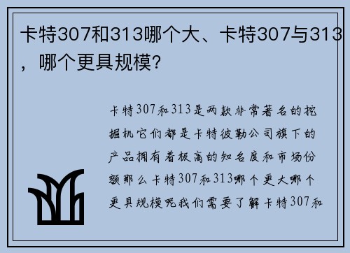 卡特307和313哪个大、卡特307与313，哪个更具规模？