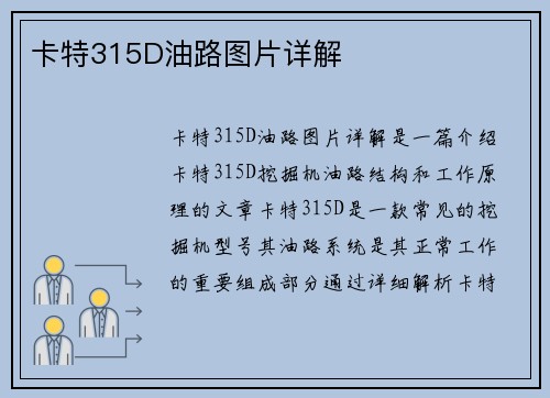 卡特315D油路图片详解